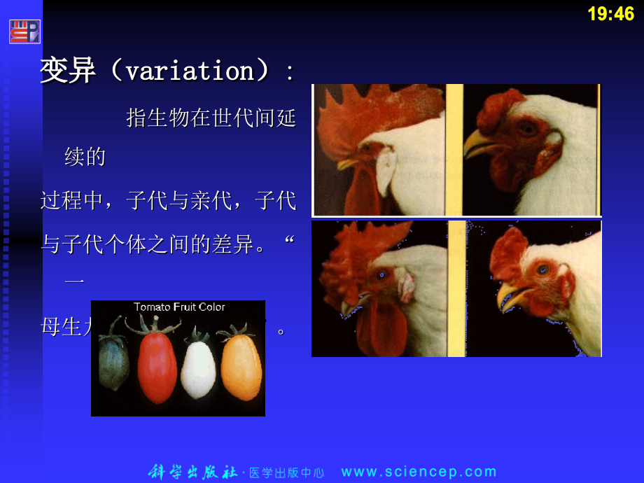 节医学遗传学.ppt_第2页