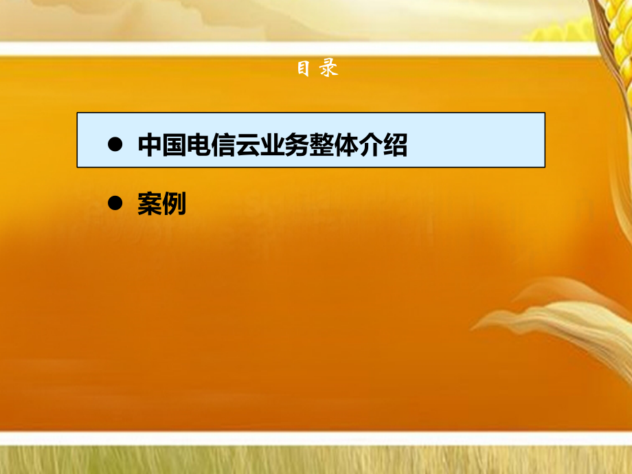 中国电信云公司业务材料.ppt_第2页