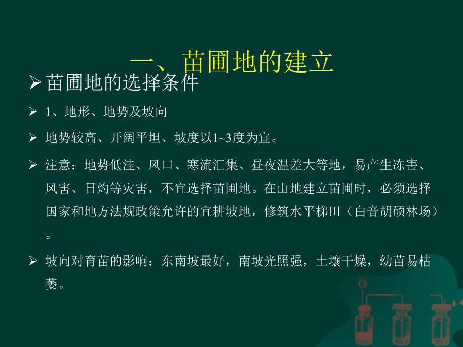 苗圃的建设与区划.ppt_第2页