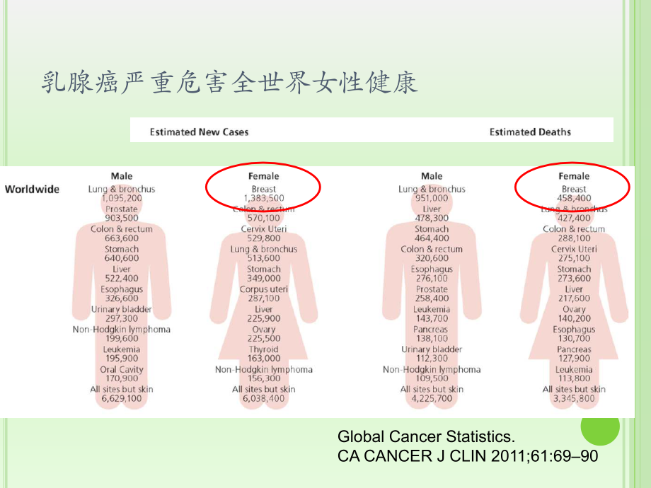 乳腺癌前哨淋巴结活检临床.ppt_第2页