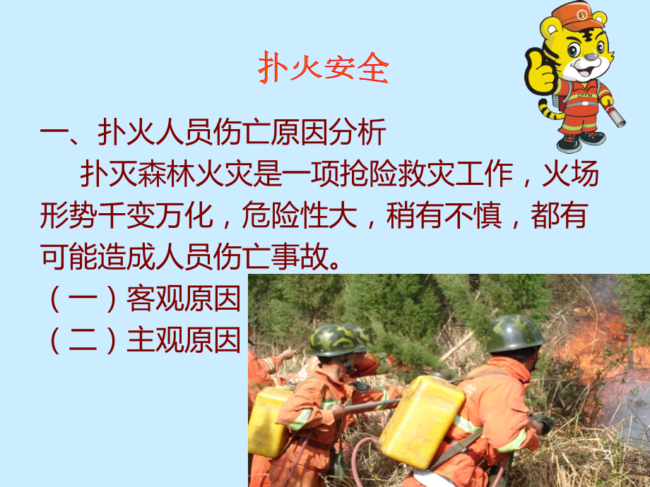 森林火灾扑救安全知识培训座.ppt_第2页