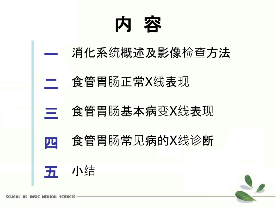 消化系统影像诊断.ppt_第2页