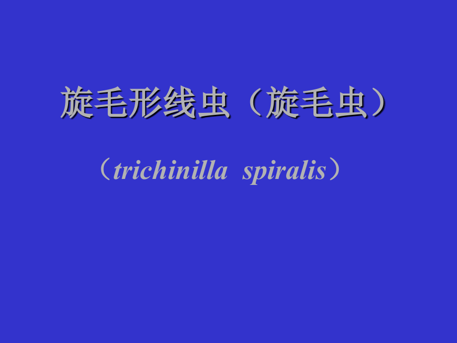 临床旋毛虫丝虫鞭虫.ppt_第2页