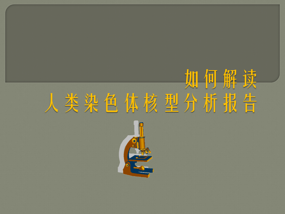 教你如何看染色体检测报告.ppt_第1页