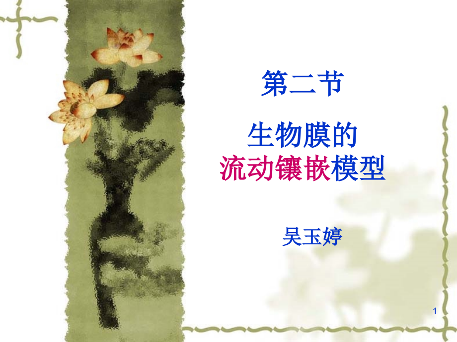 细胞膜的流动镶嵌模型公开.ppt_第1页