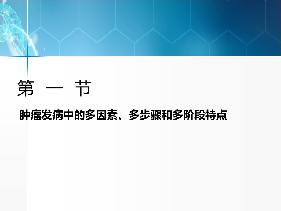 肿瘤发病中的多因素.ppt_第2页