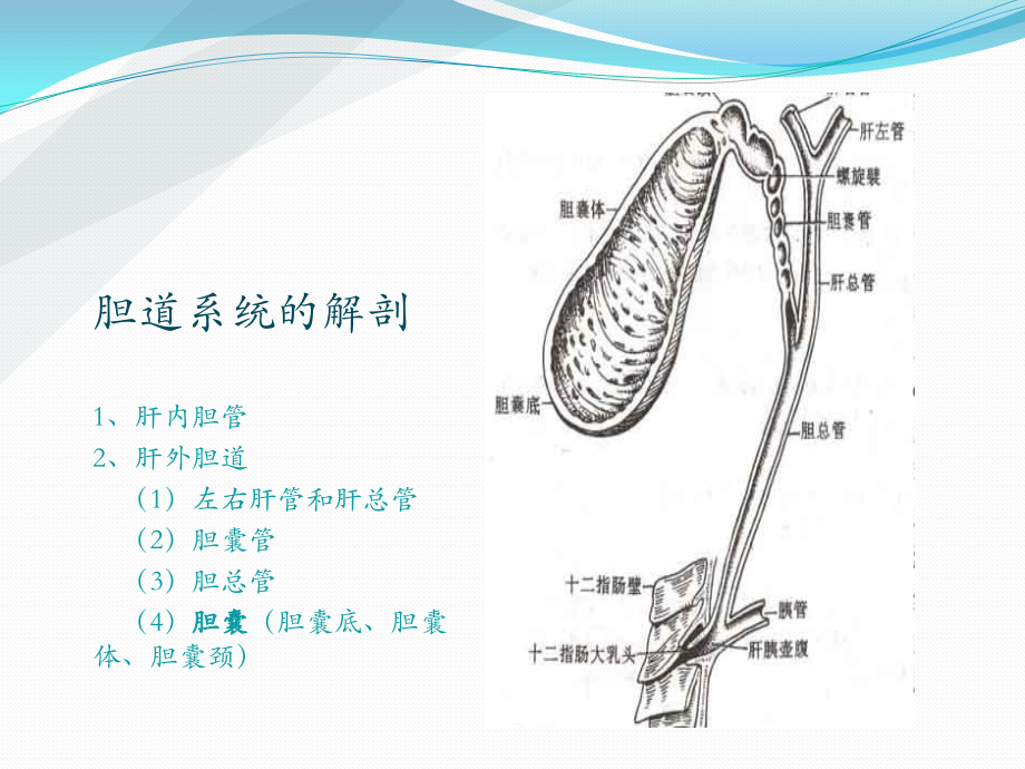 胆石症正稿.pptx_第2页