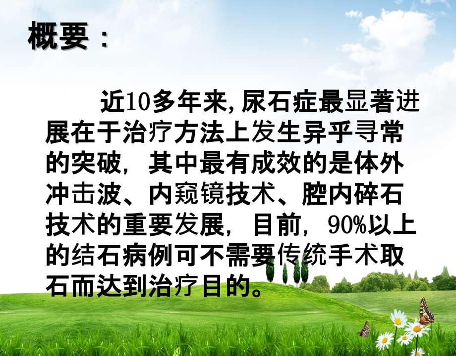 输尿管镜钬激光治疗输尿管结石.ppt_第2页