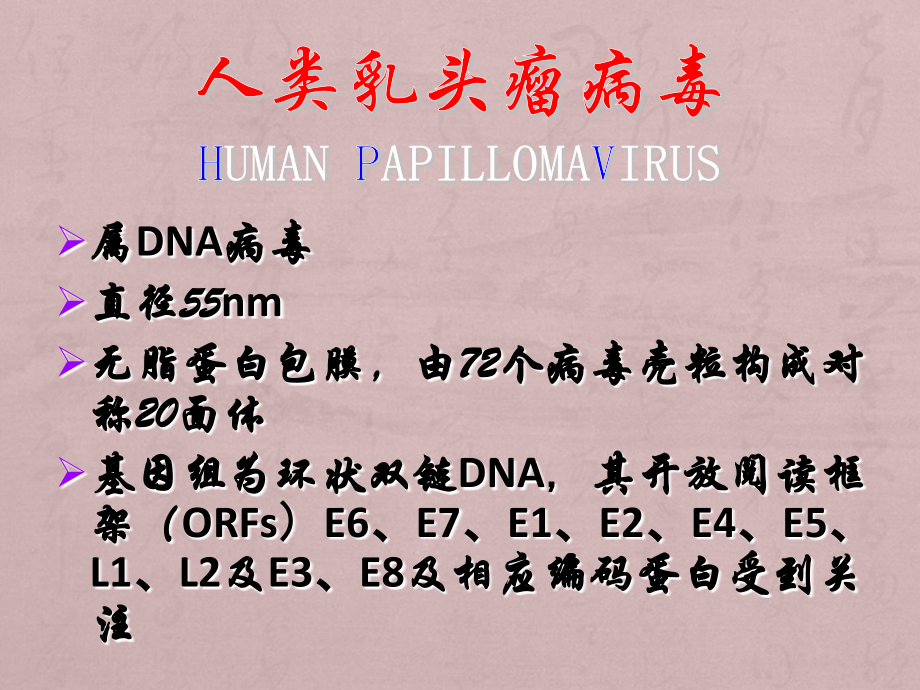 尖锐湿疣的治疗新进展.ppt_第2页