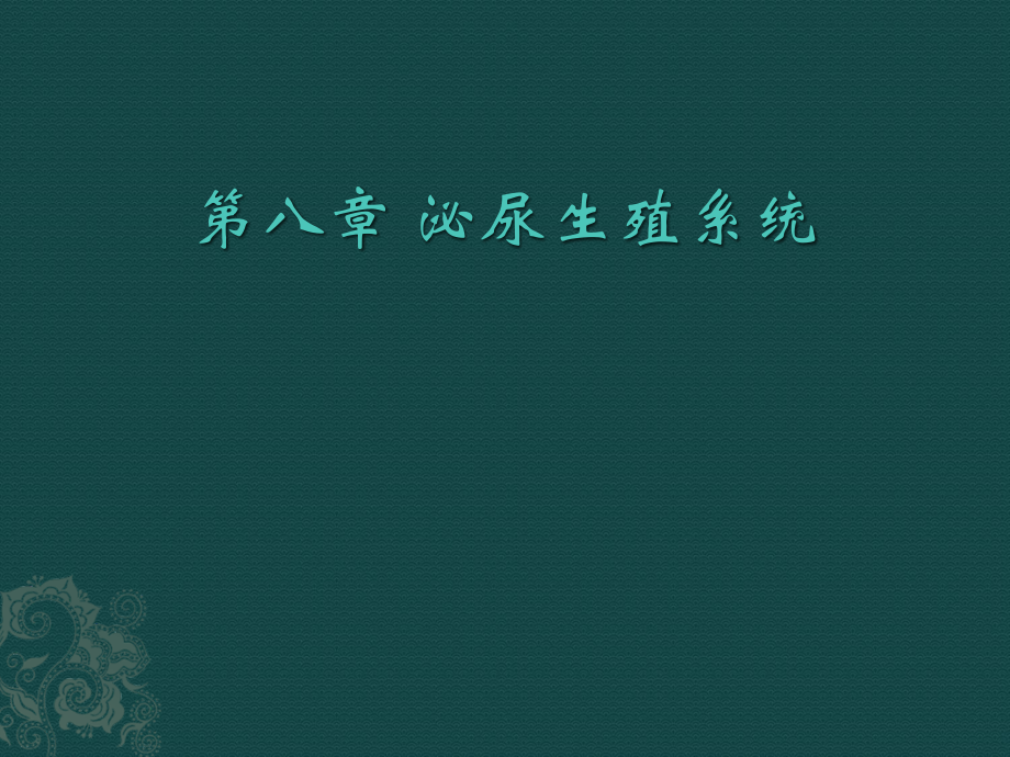 妊娠与女性生殖系统疾病影像诊断-.ppt_第1页