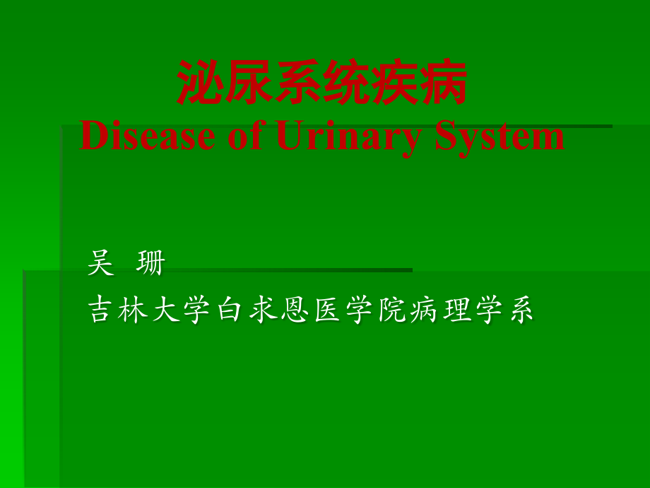 外科泌尿外科泌尿系统疾病病理.ppt_第2页