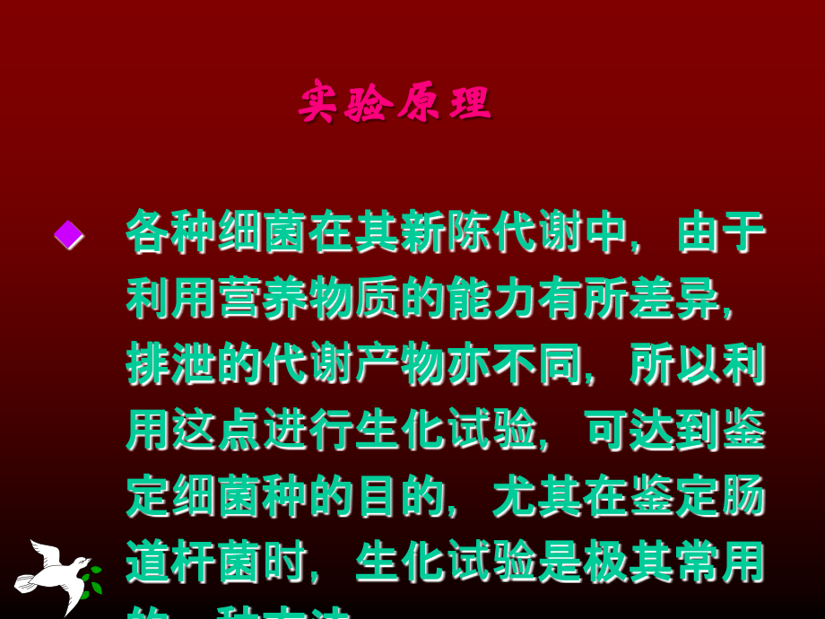 实验五-大肠杆菌与沙门氏菌.ppt_第2页