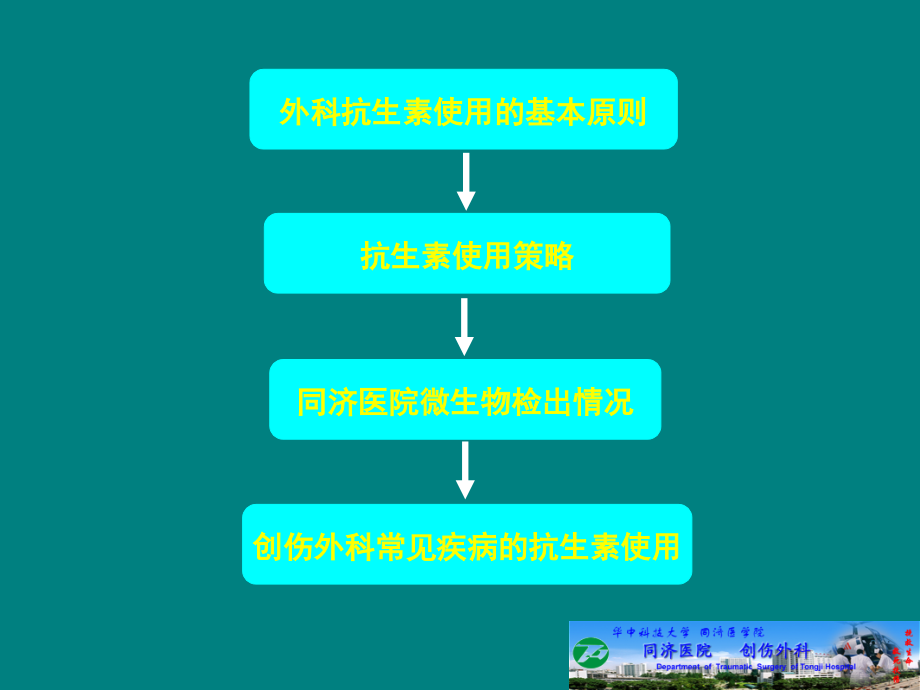 创伤外科.ppt_第2页