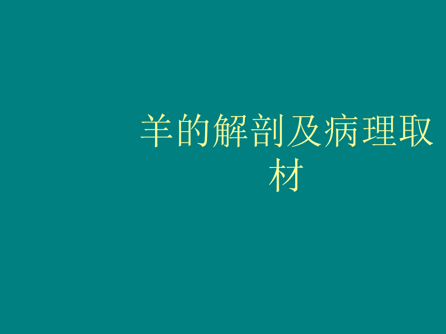 实验动物解剖及病理取材.ppt_第1页