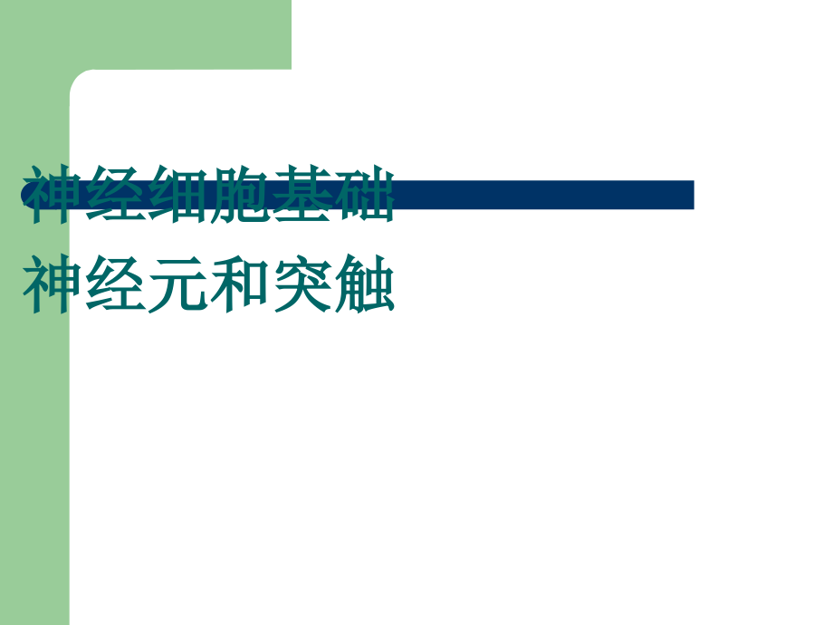 神经元和突触.ppt_第1页