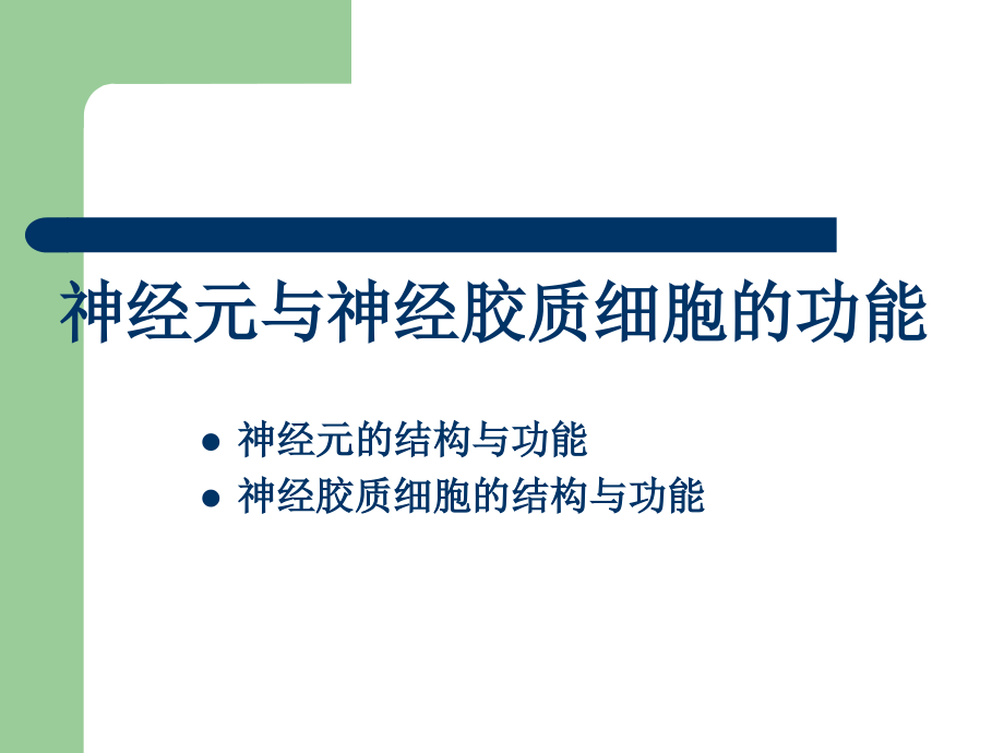 神经元和突触.ppt_第2页
