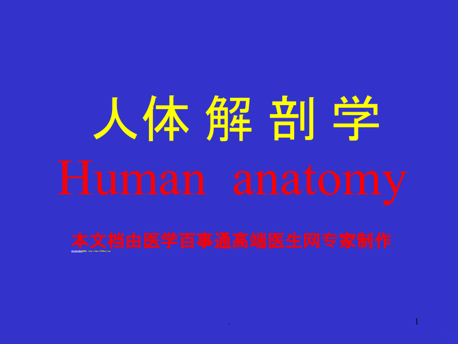 人体解剖学心血管.ppt_第1页