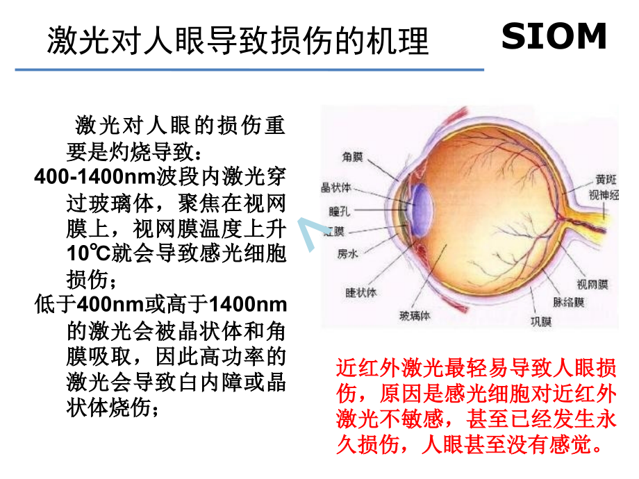 激光人眼安全.ppt_第2页