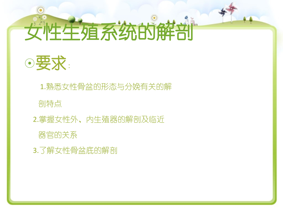 内部教学资料-女性生殖系统.ppt_第2页