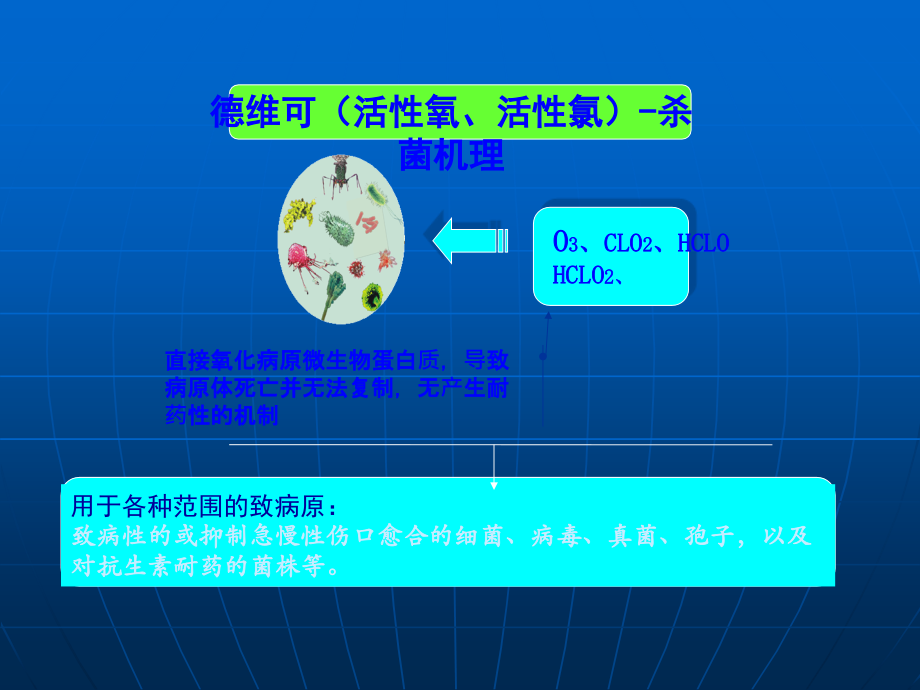 德维可外科.ppt_第2页