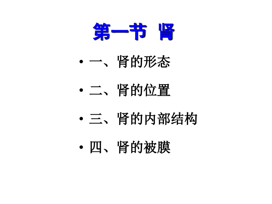 泌尿系统PPT.ppt_第2页