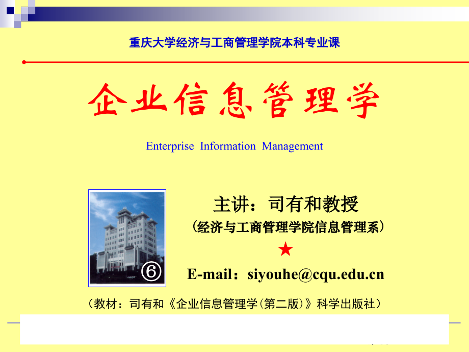 企业信息化建设项目的实施.ppt_第1页