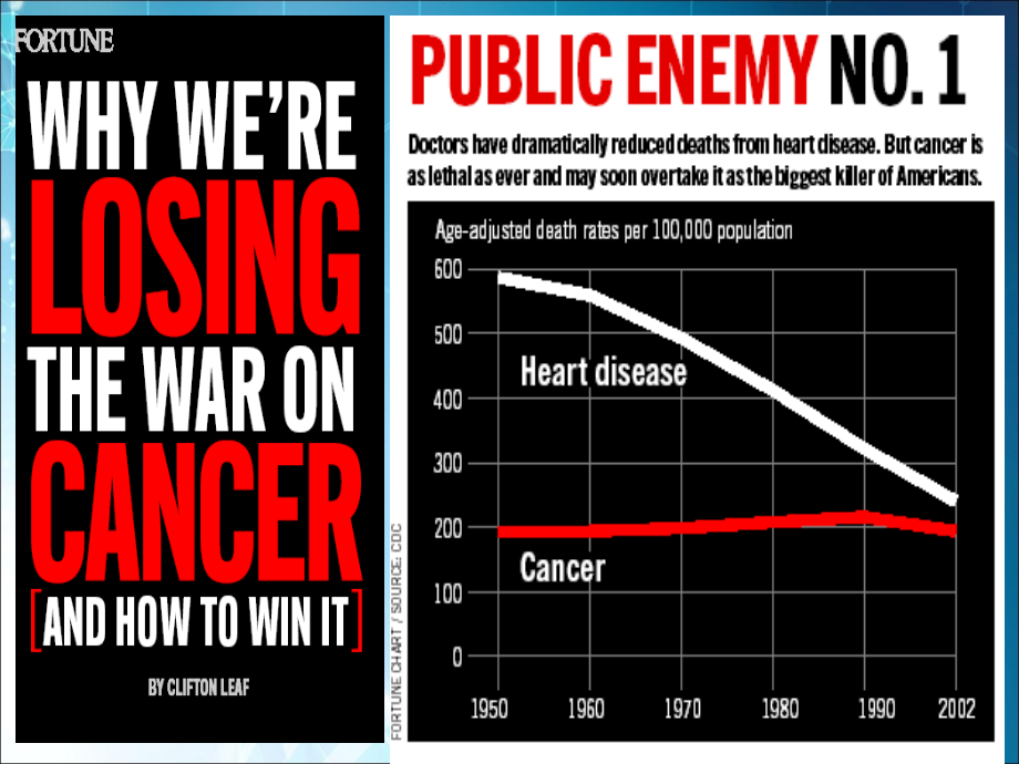 肿瘤临床介绍.ppt_第2页