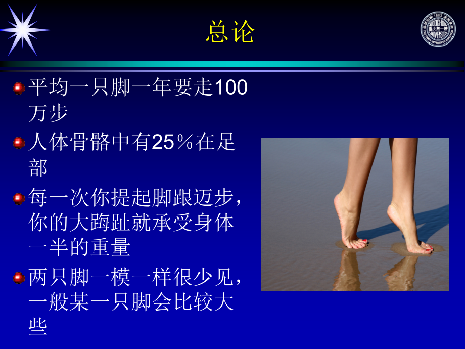 足踝部解剖讲座PPT.ppt_第2页