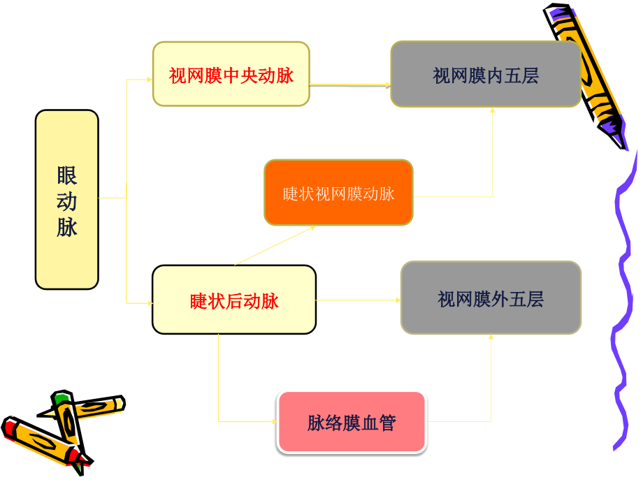 视网膜动脉阻塞.ppt_第2页