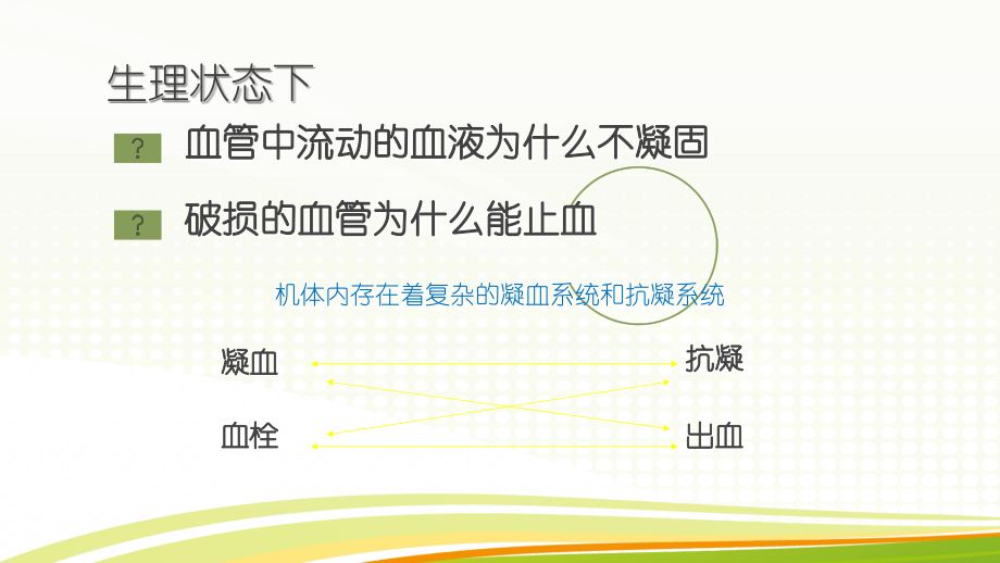 凝血检查-spc.ppt_第2页