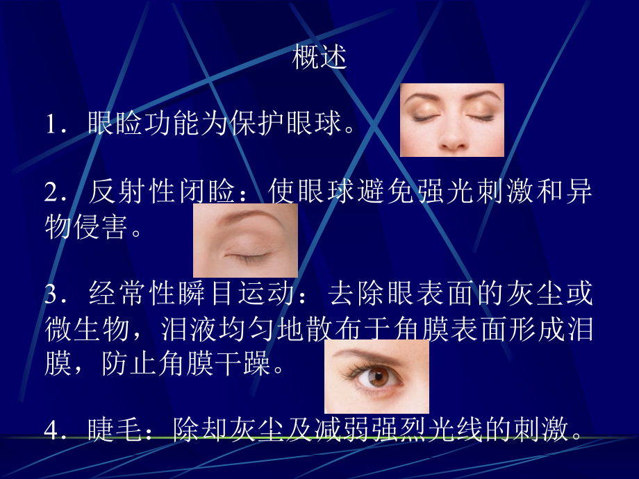眼睑病病人的护理.ppt_第2页
