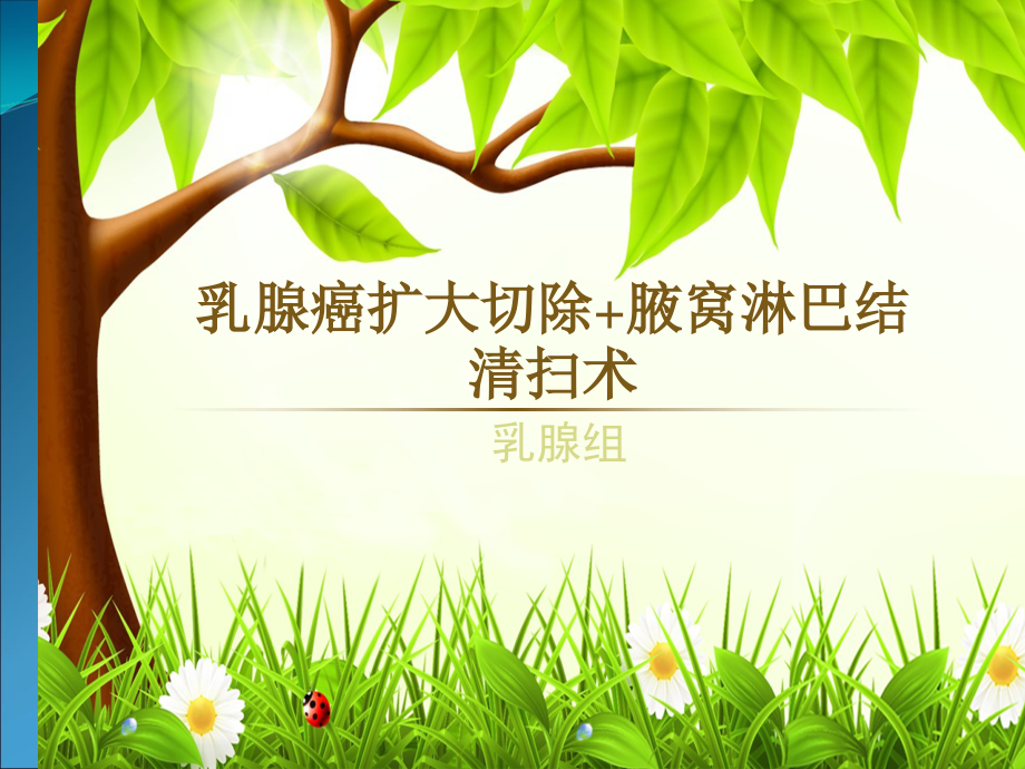 乳腺癌扩大切除ppt课件.ppt_第1页