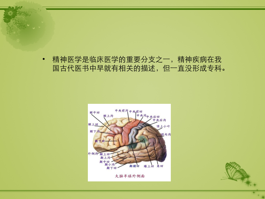中医精神病治疗.ppt_第2页
