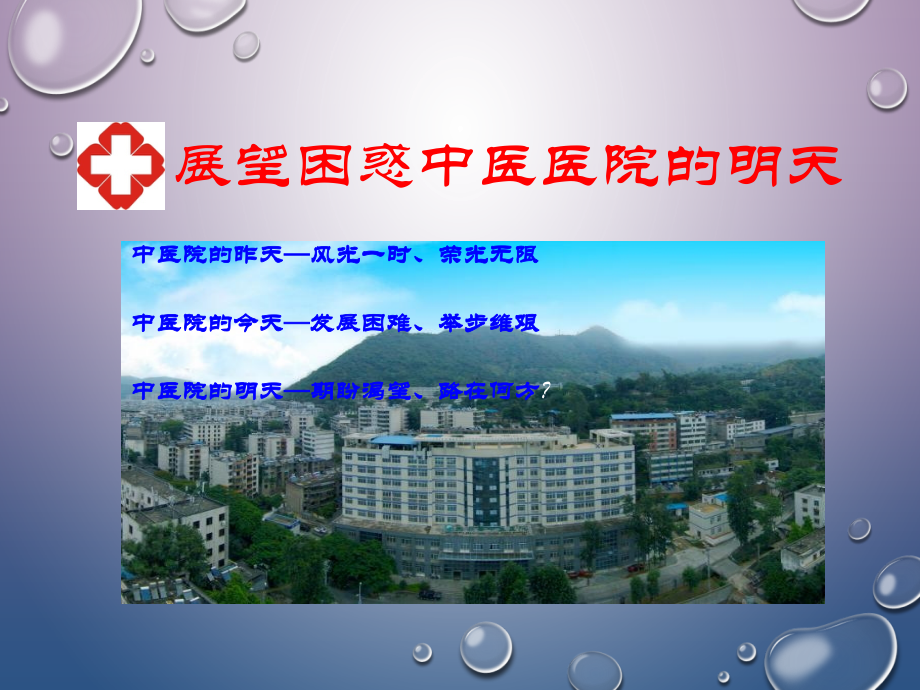 中医院的现状及发展思路.ppt_第1页
