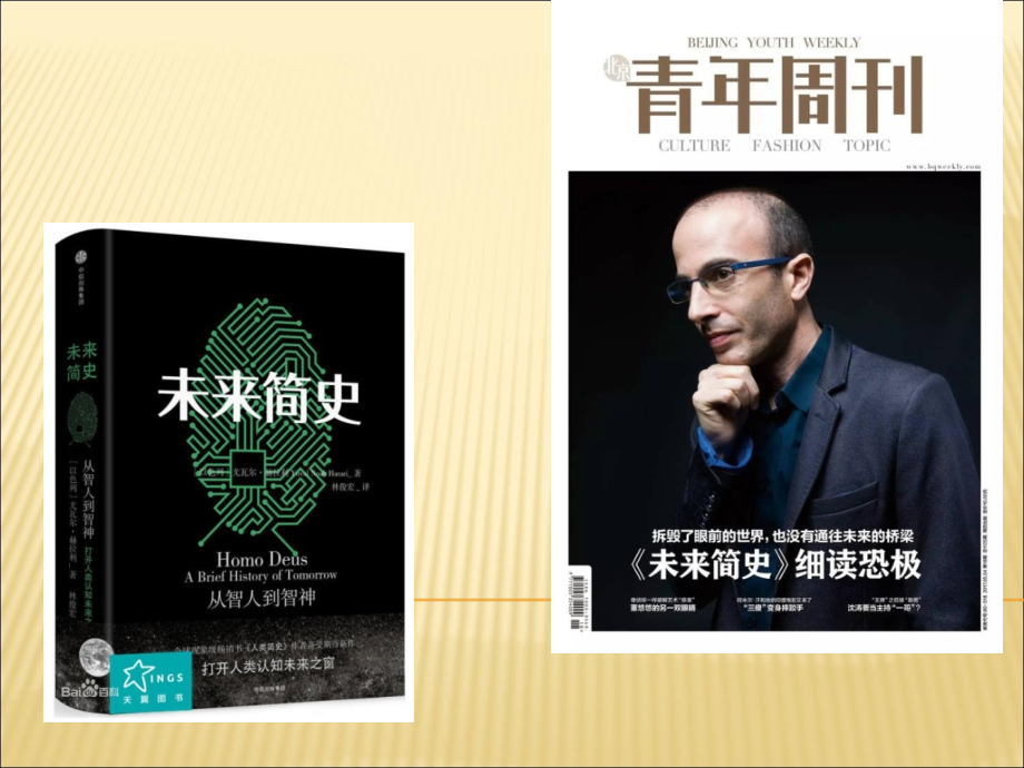 纳米科技简介.ppt_第2页