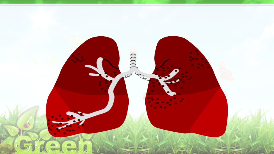 呼吸系统的解剖生理课件.ppt_第2页