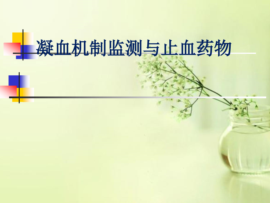 凝血机制-止血药.ppt_第1页