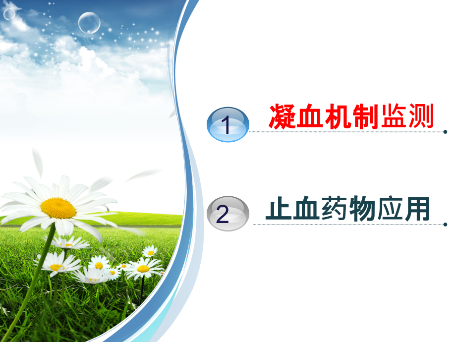 凝血机制-止血药.ppt_第2页