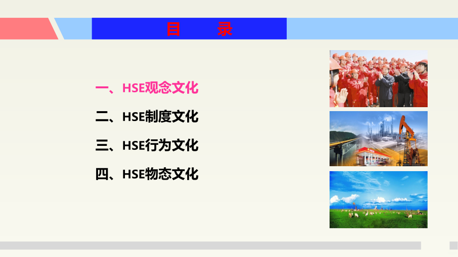 示例：《国内外企业安全文化经验集锦》.ppt_第2页
