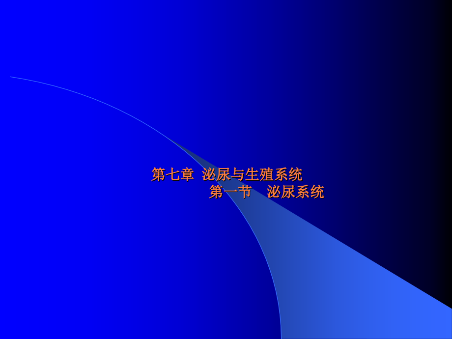 泌尿生殖系统影像.ppt_第1页