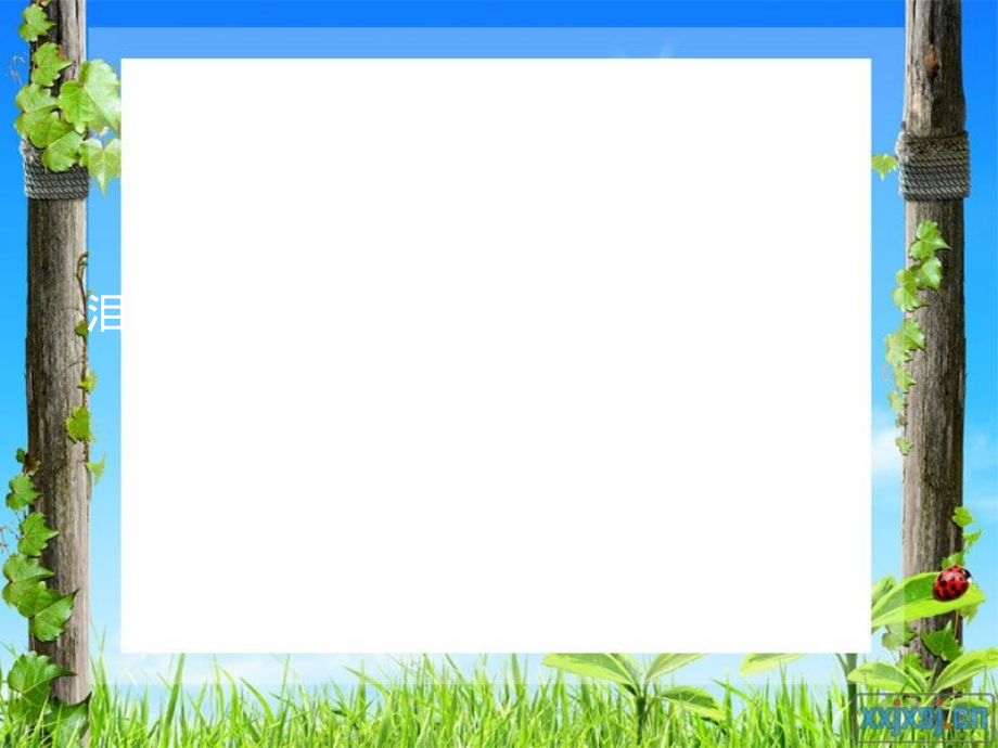 泪器眼表.ppt_第1页