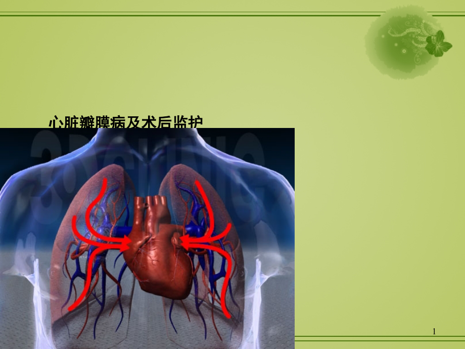 心脏瓣膜病及术后监护.ppt_第1页