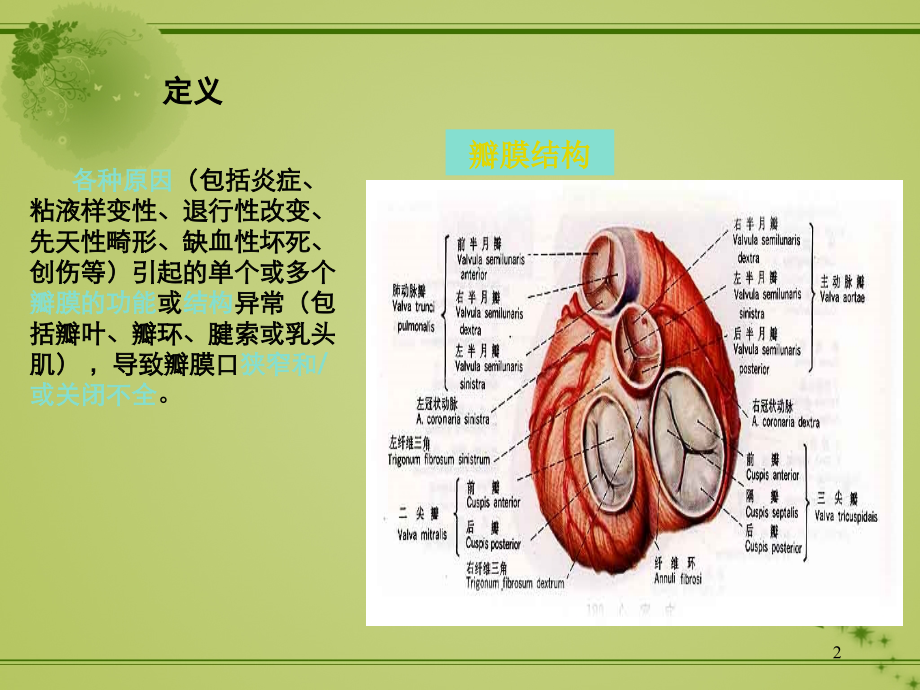 心脏瓣膜病及术后监护.ppt_第2页