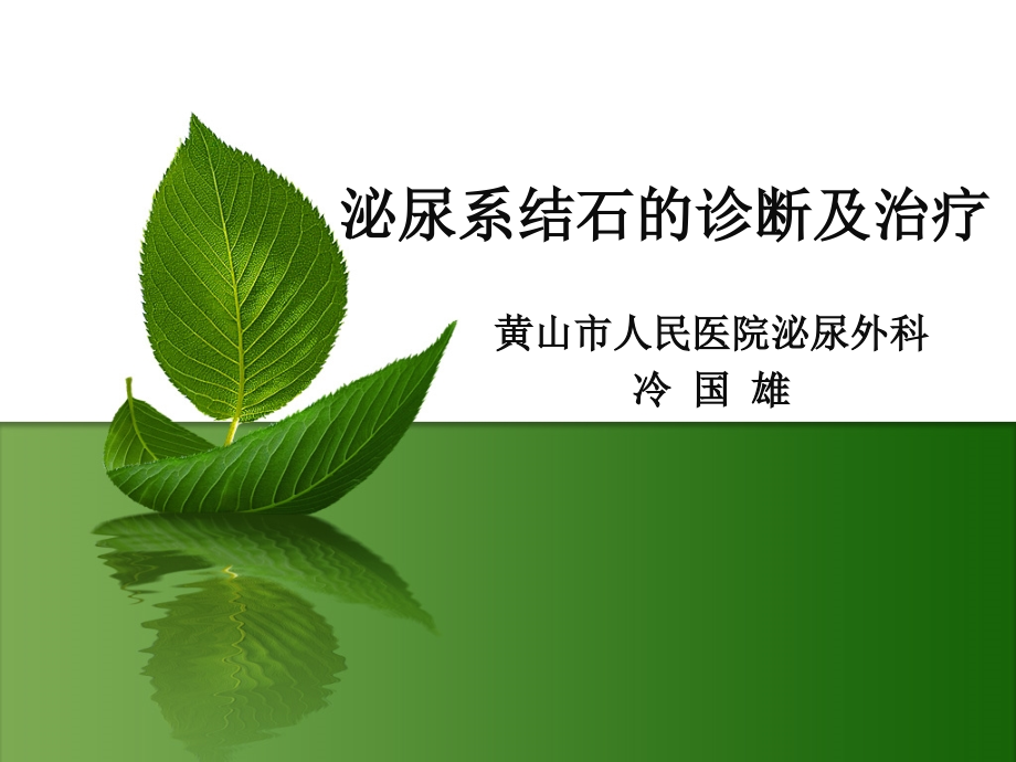 泌尿系结石的诊断及治疗.ppt_第1页