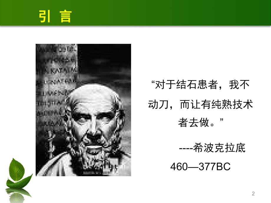 泌尿系结石的诊断及治疗.ppt_第2页