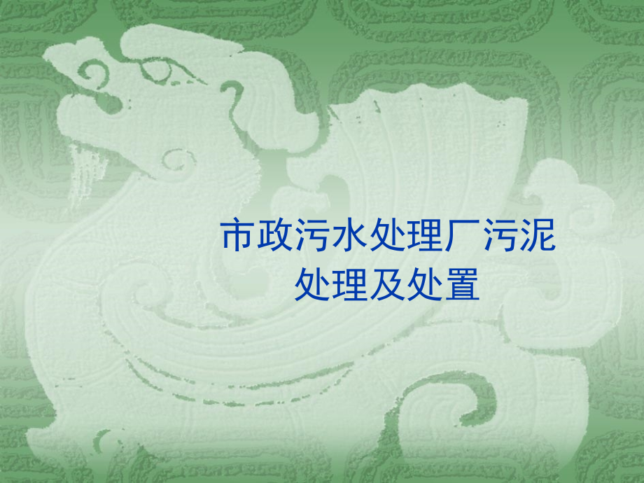 市政污水处理厂污泥处理及处置.ppt_第1页