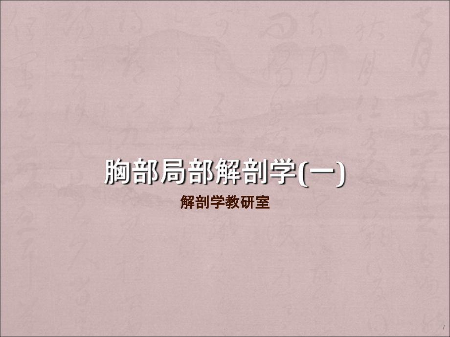 胸部局解.ppt_第1页