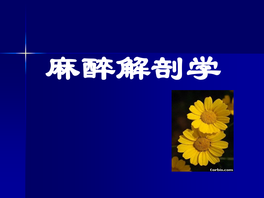 麻醉解剖学(上下肢)ppt课件.ppt_第1页