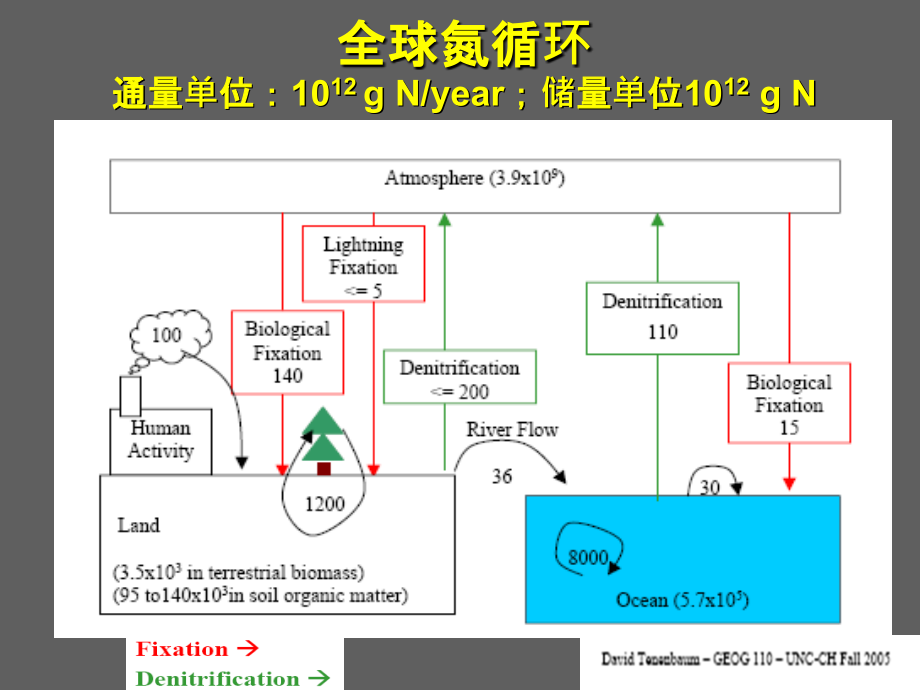 氮循环过程及机理.ppt_第2页