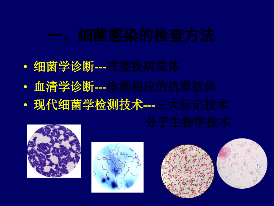 细菌检查ppt课件.ppt_第2页
